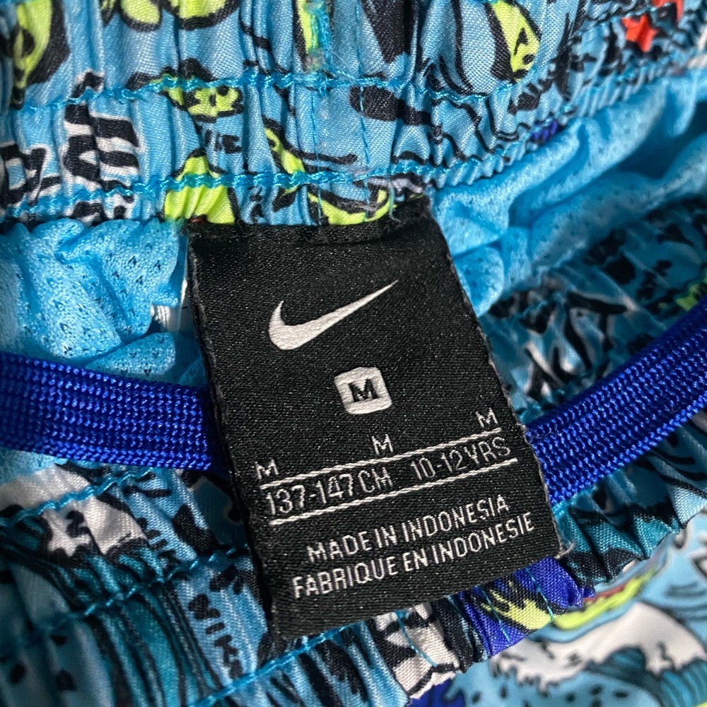 Boys Nike Swim Trunks - Picture 6 of 6